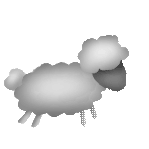 sheep